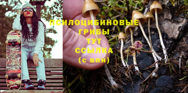 мескалин Гусиноозёрск