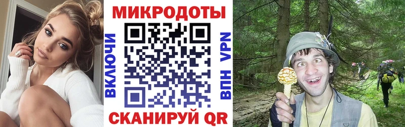 Псилоцибиновые грибы прущие грибы Купить где Новочеркасск
